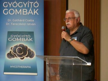 [ID: Zji5xQiwT10] Youtube Automatic