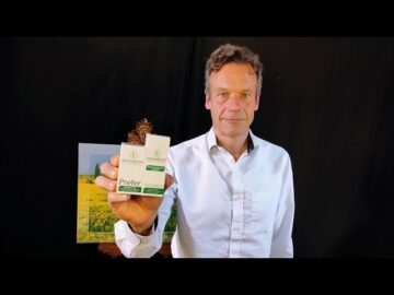 Magán: [ID: -D5MqPQXRno] Youtube Automatic