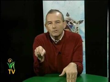 [ID: exFaJF2TXBY] Youtube Automatic