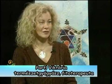 [ID: tT6pKx339Kc] Youtube Automatic