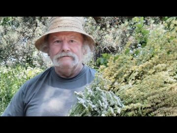 Magán: [ID: 3tkbQvpi03s] Youtube Automatic