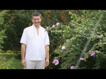 Magán: [ID: CrFFD50qZhs] Youtube Automatic