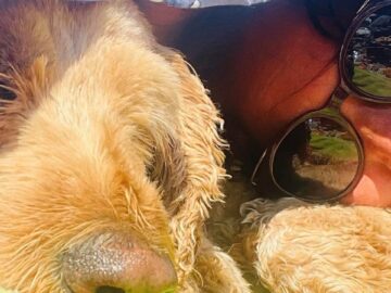 Magán: [ID: RRZ7QXN1OhM] Youtube Automatic